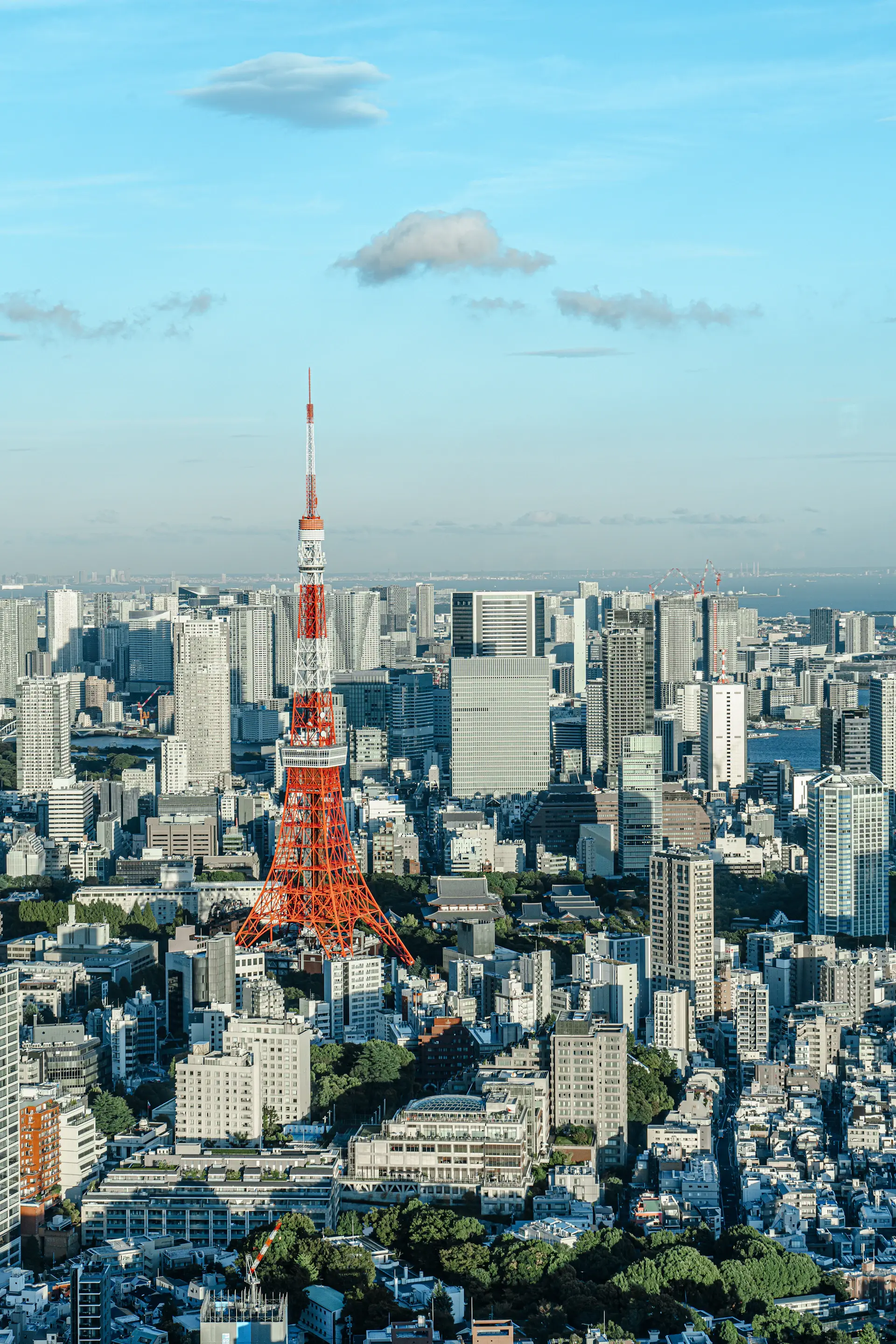 Tokyo skyline with Tokyo Tower